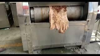 Animal cattle goat sheep pig cow donkey Skin Hair Removal removing processing dehair machine