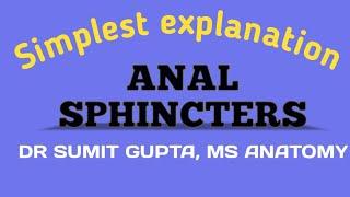 ANAL SPHINCTERS