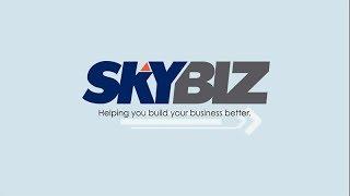 SKYbiz: About Us