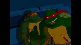 2003 Raphael being my emotional support turtle for 22 Minutes (S 1-2)