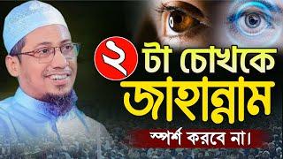 দুইটা চোখকে জাহান্নাম স্পর্শ করবে না | আনিসুর রহমান আশরাফী নতুন ওয়াজ  | New Waz 2024