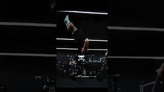 Crazy calisthenics #edit #sports #motivation #respect