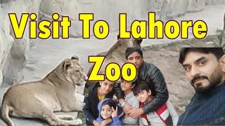 Experience The Ultimate Lahore Zoo Adventure with Ali's Butt Chiller Party.