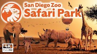 San Diego Zoo Safari Park - Top 10 Tips, Park Tour & Animal Guide