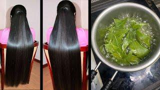 வெறும் வேப்பிலை போதும் உங்க ,முடி கைக்குள்ள அடங்காம வளரும் | mudi valara | hair growth tips in tamil