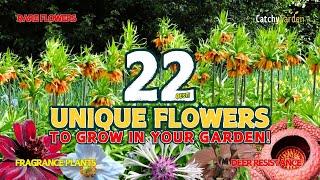 22 BEST UNIQUE FLOWERS YOU NEED IN YOUR GARDEN NOW!  // Gardening Ideas