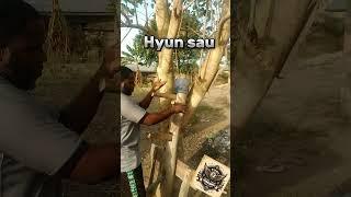 Wing chun Hyun sau #wingchuntechniques #selfdefensetechniques #martialarts #wingchunkungfu