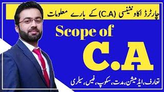 What is CA | Scope of CA in pakistan | Charter Accountency | Complete information  about CA