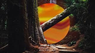 UOAK & Ceci - Scent Of Wood (Bound To Divide Remix)