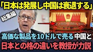 【海外の反応】「日本はさらに発展し、中国は衰退するだろう」世界の人々が日本の技術力の高さに驚愕する理由とは？【総集編 作業用】