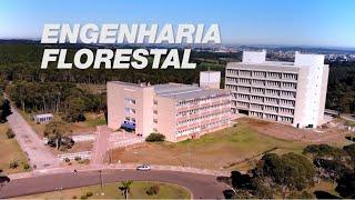 Guia de Cursos - Engenharia Florestal - UFSC Curitibanos