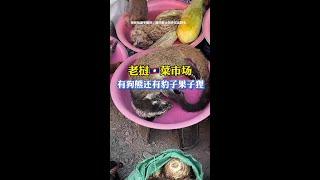 老挝菜市场 这里的东西绝对超过你的想象#老挝农村生活 #东南亚风情 #领略异域风情