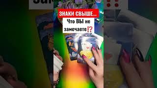 ЗНАКИ ОТ ВЫСШИХ СИЛ ️ЧТО ВЫ НЕ ЗАМЕЧАЕТЕ ⁉️#shorts #гадание #тароонлайн