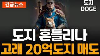 ※긴급속보※ 도지 DOGE 1억 5,700만 달러 대이동