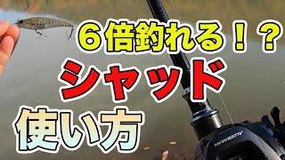 【バス釣り】シャッドの釣れる使い方！ルアーの動かし方やアクションをマスターして冬の攻略を解説！【ベイトフィネス】【バス釣りJAPANちゃんねる】