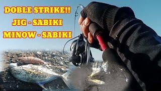 Tehnik mancing ini bikin angler tidak boncos!!minow-jig-sabiki