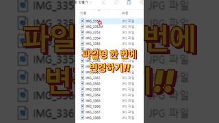 파일명 한 번에 변경하는 꿀팁!! #직장인 #꿀팁 #실무교육 #이미지 #회사