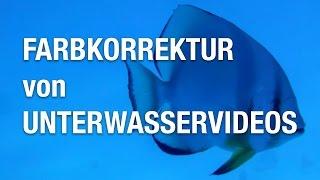 Farbkorrektur von Unterwasservideos - Farbkorrektur Video - Weißabgleich Unterwasserfilm