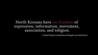The George W. Bush Institute's Freedom in North Korea Initiative