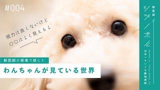 【獣医師が解説】わんちゃんはどんな世界を見ている？【獣医師ツジノボル】