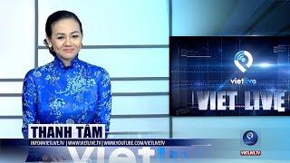 VIETLIVE TV ngày 15 12 2021