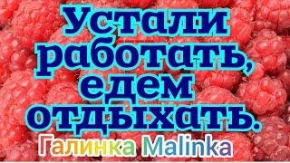 Жубревы /Устали работать, едем отдыхать //Обзор Влогов //