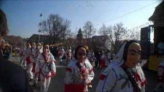 Fasnet: Umzug in Rötenbach am 06.03.2011