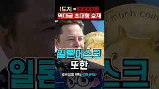 1도지코인(Doge) = 10,000원 #도지코인 #도지코인실시간 #도지코인전망