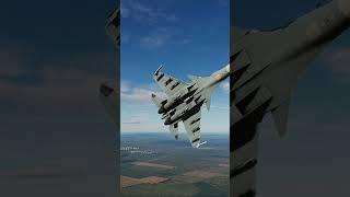 Su-33 Sea Flanker!!!  #flanker #aviation #dcs #dcsworld #warthunder #edit #capcut