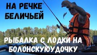 На речке Беличьей. Рыбалка на болонскую удочку. On the Belichya river. Fishing with a Bolognese rod.