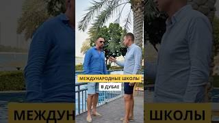 Международные школы в Дубае #блогер #интервью #shorts #видео #Дубай #каквыйтивтоп