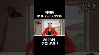 2023년 상반기 쥐띠 운세!!