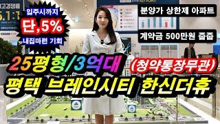 평택 브레인시티 한신더휴 경기도 평택 3억대 아파트 계약금 500만원 미분양  줍줍 기회