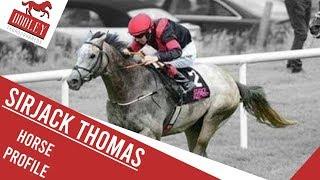 SirJack Thomas Horse Profile - Dooley Thoroughbreds