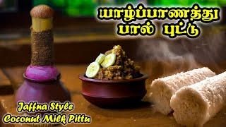 Jaffna Style Coconut Milk Pittu - யாழ்ப்பாணத்து பால் புட்டு | Tamil | Travel | Recipe | Cooking