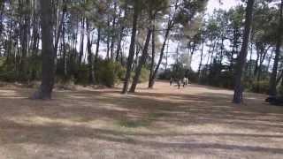 The Super Six at Spa Park, Taupo - NZ Disc Golf National Tour 2013