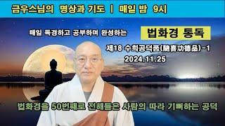 [금우스님 라이브 #1376] 한글법화경 통독 / 법당에서 법화경을 들은 최초의 사람이 이를 전하여 50번째에 이르렀을 때 그 사람이 얻는 공덕 / 2024.11.25