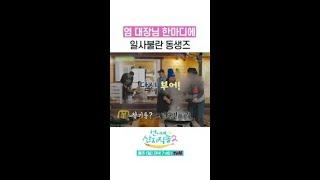 염정아 말 척척 수행하는 착한 동생들 #언니네산지직송2 #뛰비엔2025
