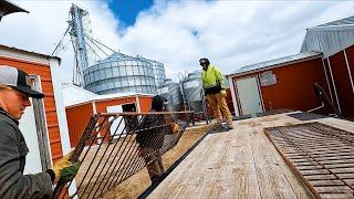 Cleaning Out A Hog Barn For Demolition!