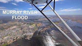 MURRAY RIVER FLOOD by AIRCRAFT ep 1, Flood waters spread more than expected, water is still rising!