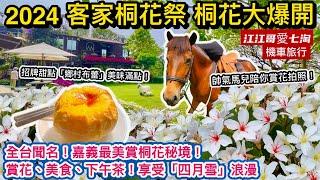 【江江哥愛七淘】機車旅行｜桐花祭｜客家桐花祭大爆開｜嘉義美食｜嘉義桐花祭｜桐花季景點｜幸福山丘｜四月雪 Taiwan travelTaiwan Food #環島 #機車環島 #嘉義景點 #台灣美食