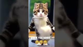 when you dance #funny #dance #cat #shortvideo