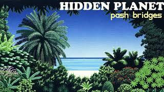 Pash Bridges - Hidden Planet