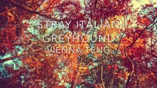 stray italian greyhound - vienna teng // lyrics