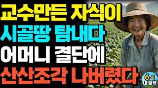 "교수 만든 아들이 시골땅 탐내자, 단숨에 뒤집어엎은 노모의 한 방!"ㅣ가족 ㅣ부모자식 ㅣ인생이야기ㅣ노후 ㅣ어르신