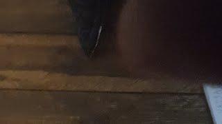 18+KATA AKALAR OYNI 200 YUTUQ 1000