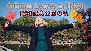 Autumn at Showa Kinen Park  [4K]  // Japan Vlog