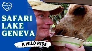 Safari Lake Geneva - a Wild ride - Drive Through Animal Feeding experience