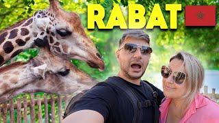 Is Rabat Zoo Worth Visiting in Morocco?  هل حديقة حيوان الرباط تستحق الزيارة في المغرب؟