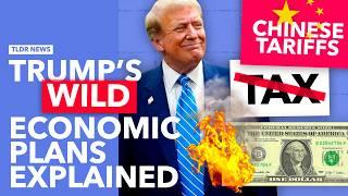 "Trumponomics" Explained